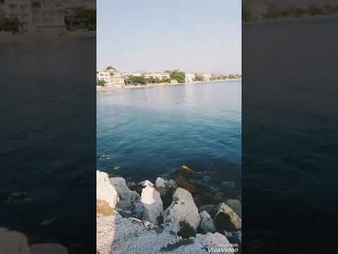 نعيم الشيخ يابحر