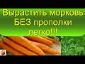 Вырастить морковь БЕЗ прополки легко! Чистые грядки!