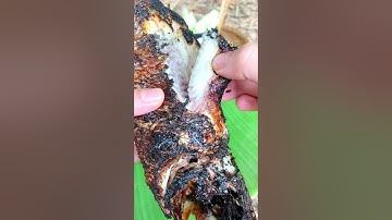 Cá lóc nướng mà ăn với muối ớt tui nói thịt ngọt dữ hà #catlai #shorts