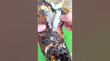 Cá lóc nướng mà ăn với muối ớt tui nói thịt ngọt dữ hà #catlai #shorts