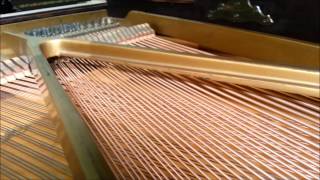 Christman New York Video 2014