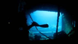Thistlegorm Red Sea Jan 10 059.avi