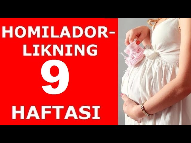 Jinsiy partiya orgiyalari