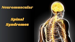 Spinal Syndromes NPTE Practice Question - Anterior Cord, Central Cord, Posterior Cord, Brown Sequard