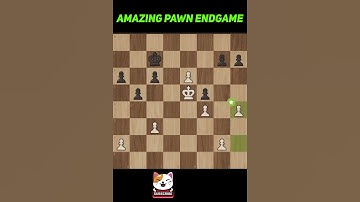 Amazing Pawn Endgame | Chess ♟️ Tactics |