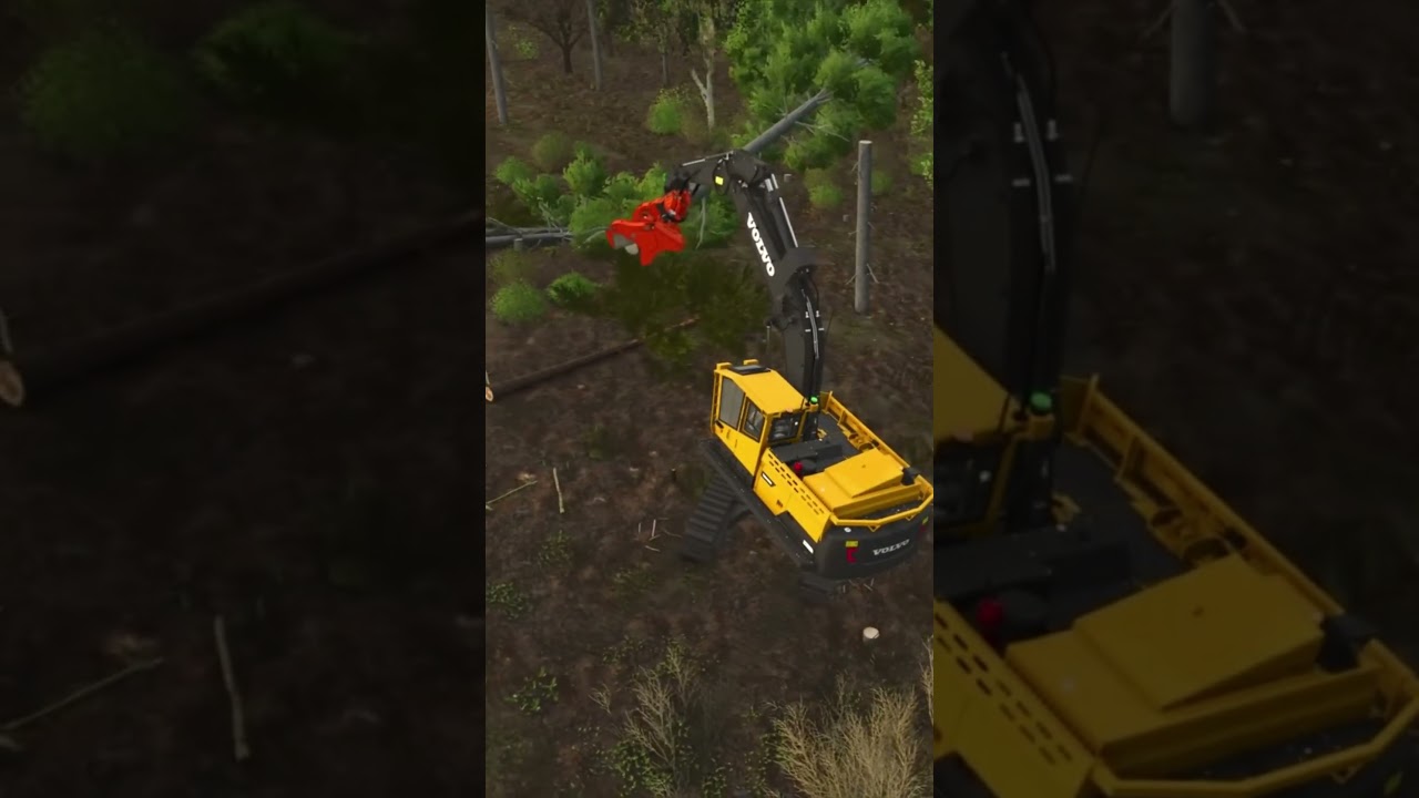 FS25 Forestry  