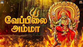 கேட்ட வரம் தருவாள் ஆதி பராசக்தி | செவ்வாய்க்கிழமை பக்தி பரவசமூட்டும் அம்மன் பாடல்கள் | Amman Songs