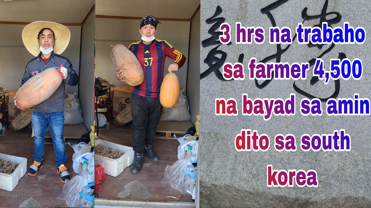 south korea part time job. instant 4500 pesos in 3hrs YouTube