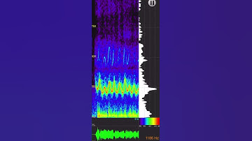 SpectraMania 🚀 Audio Spectrum Analyzer App 🎵 Analyze Sounds & Visualize 📲  App for iOS iPhone iPad
