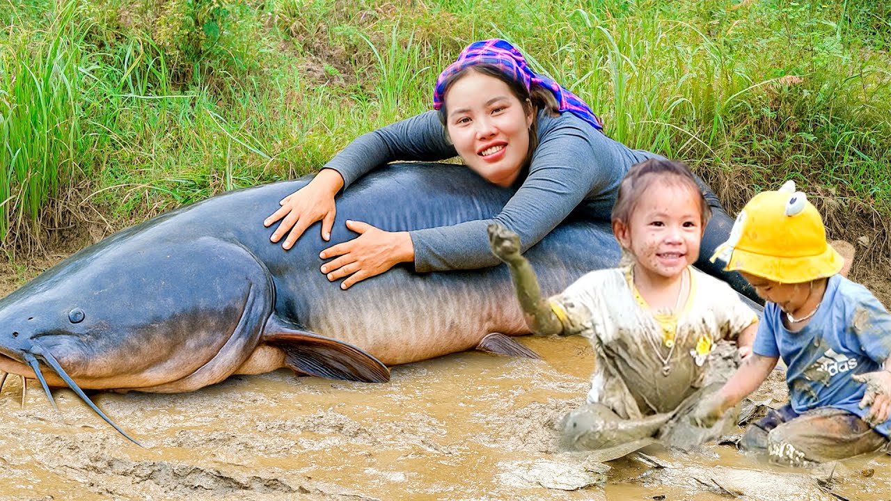 How to Catch Giant Catfish on Summer Day to Sell at Market - Cook Nutritious Porridge for Two Kids