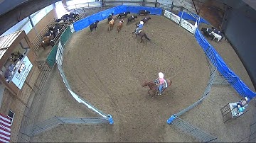 Big Sky Ranch Sorting Saddle Series #4 - #3 SORT - Round #2 - Ride #1