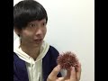 選挙の仕組みを知らない若者