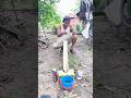 Survival Skills:SMART idea #bushcrarft #campping #outdoorwork