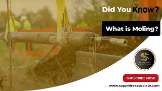 What is Moling - Did You Know | Sapphire Builders & Associates
