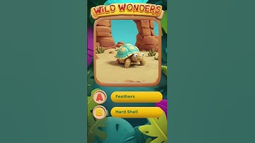 De schildpadtruc die levens redt #Diereducatie #Feiten #leerwildwonderen #dierenquiz