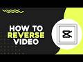 How To Reverse Video in CapCut (Quick Tutorial)