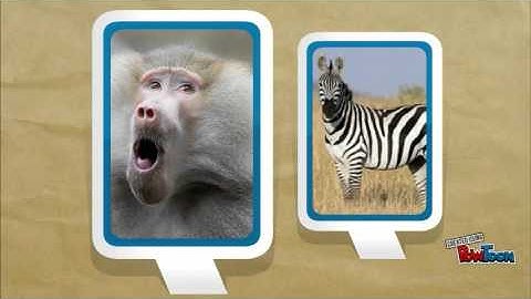 Lunch and Learn stress