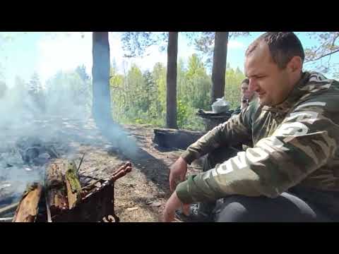 Видео: Тренировка в лесу 