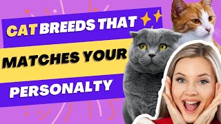 WHICH CAT BREED IS FOR YOU: CAT BREED PERSONALITY MATCH TEST