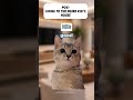 NEVER drink the juice at the weird kid's house 😭🧃 #catmemes #funny #shorts