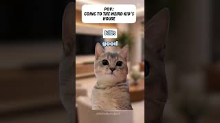 NEVER drink the juice at the weird kid's house 😭🧃 #catmemes #funny #shorts