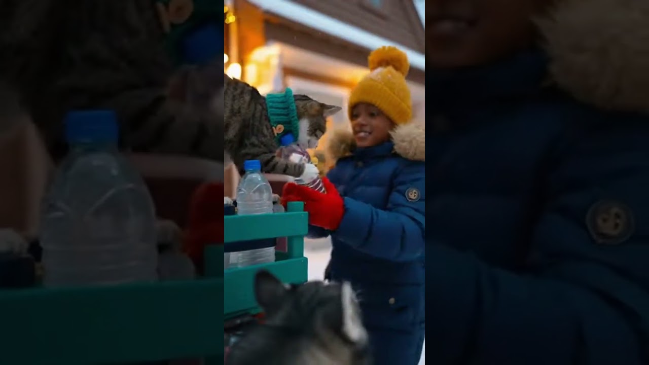 THE CHOSEN DUO: Brave Cat and Husky Risk Everything in a Miracle Rescue! 🐈🐾🚁"