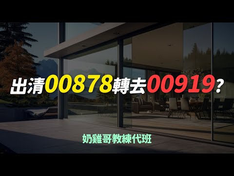 00878遭三大法人狂賣「逾17萬張」該出清00878轉去00919嗎？ETF 存股 定期定額 股票