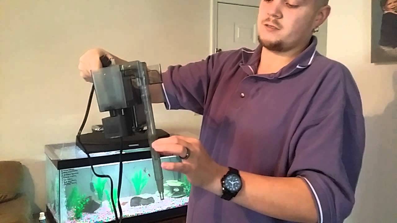 review-and-how-it-works-fluval-aquaclear-50-youtube