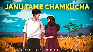 Janu Tame Chamkucha [Slowed and reverb] Humanesagar | Odia Lofi Song | Odisha Lofi