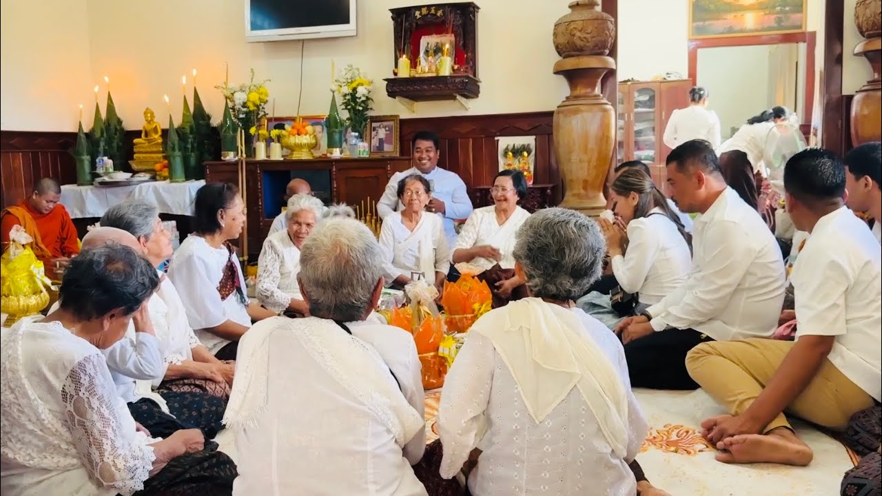 Nature’s Refreshment: Harvesting Tropical Coconuts