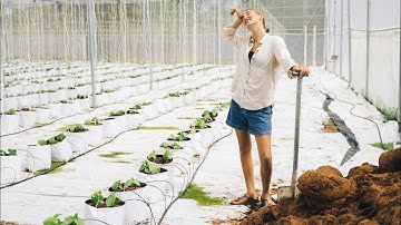 How to Fix the DJI Agras T50 Avionics Module, Cable Distribution Board, and Radar Module 👨🏻‍🌾 🔧