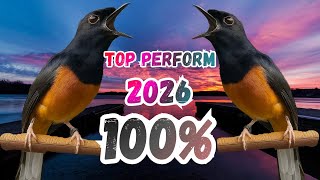 Download Lagu TOP MARKOTOP..‼️PANCINGAN MURAI BATU GACOR DALAM HITUNGAN DETIK MURAI APAPUN LANGSUNG IKUT BUNYI MP3