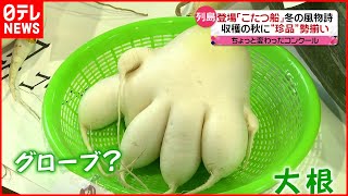 【秋】列島各地で秋の光景  北海道では暴風雨も