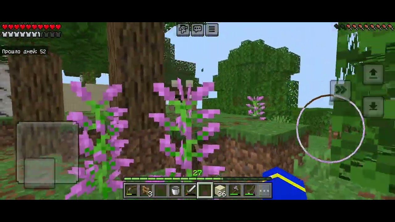 Строю деревню мобов часть 16, последняя