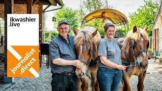 Spottersroute met de Brabantse trekpaarden van Stoeterij van de Mussenhoek uit Nederokkerzeel