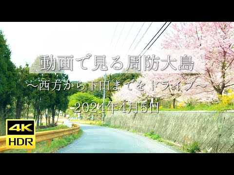 【4K動画で見る周防大島 vol.77】春の西方から下田までをドライブ 2024年4月5日 | Suo Oshima Japan Video Tour