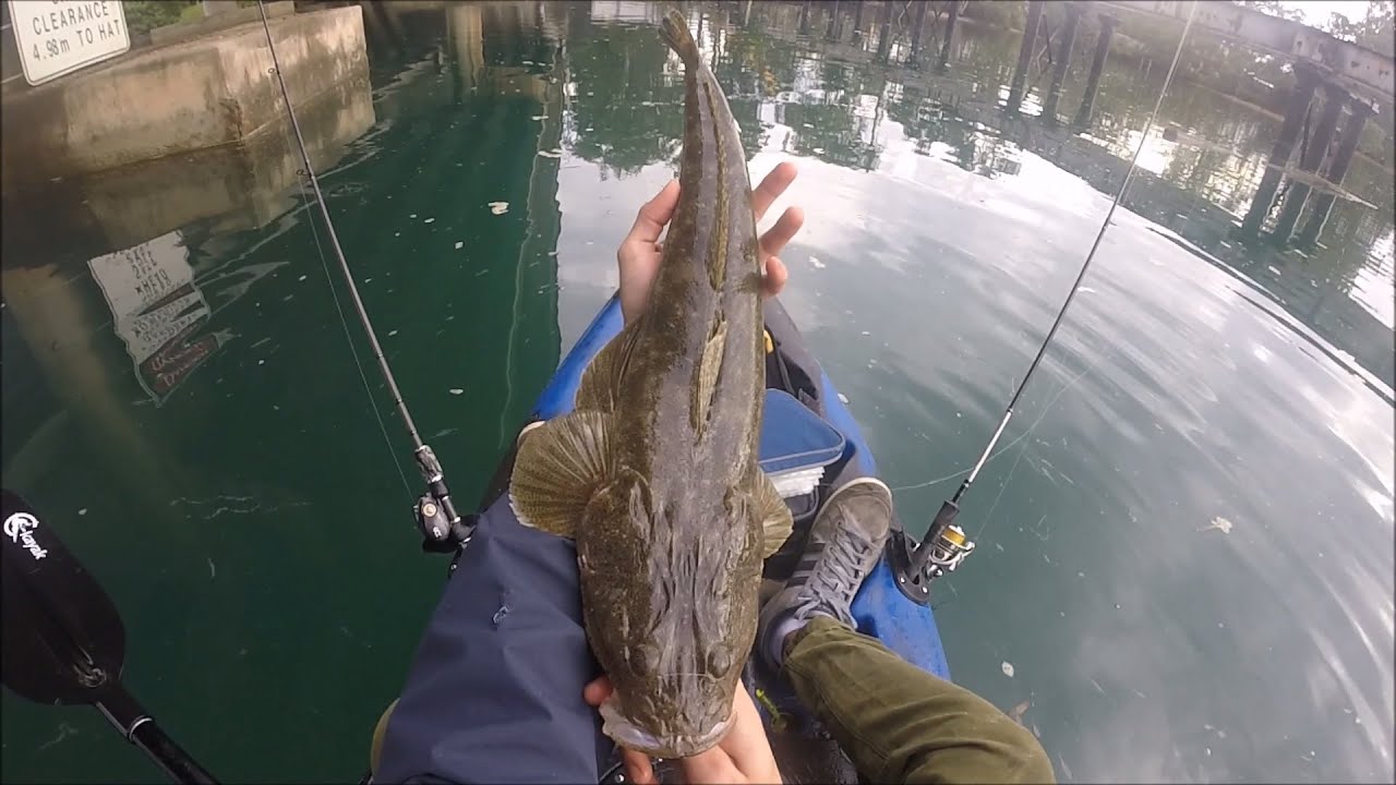 Fishing Gold Coast august 2016 YouTube