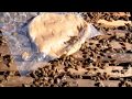 Como se preparan las colmenas antes de entrar al invierno en Argentina