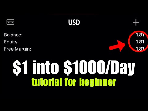 I raised ( One Dolla) into a $1000 in a Day | tutorial for 100x results