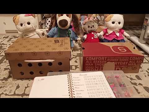 Школа Басиков. Новенькие.