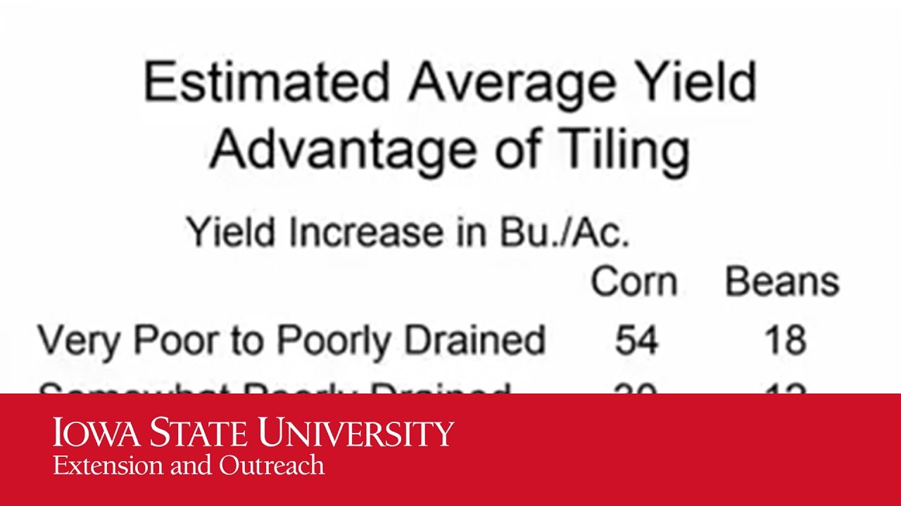 iowa state university extension and outreach polk county Economics of Ag Tile