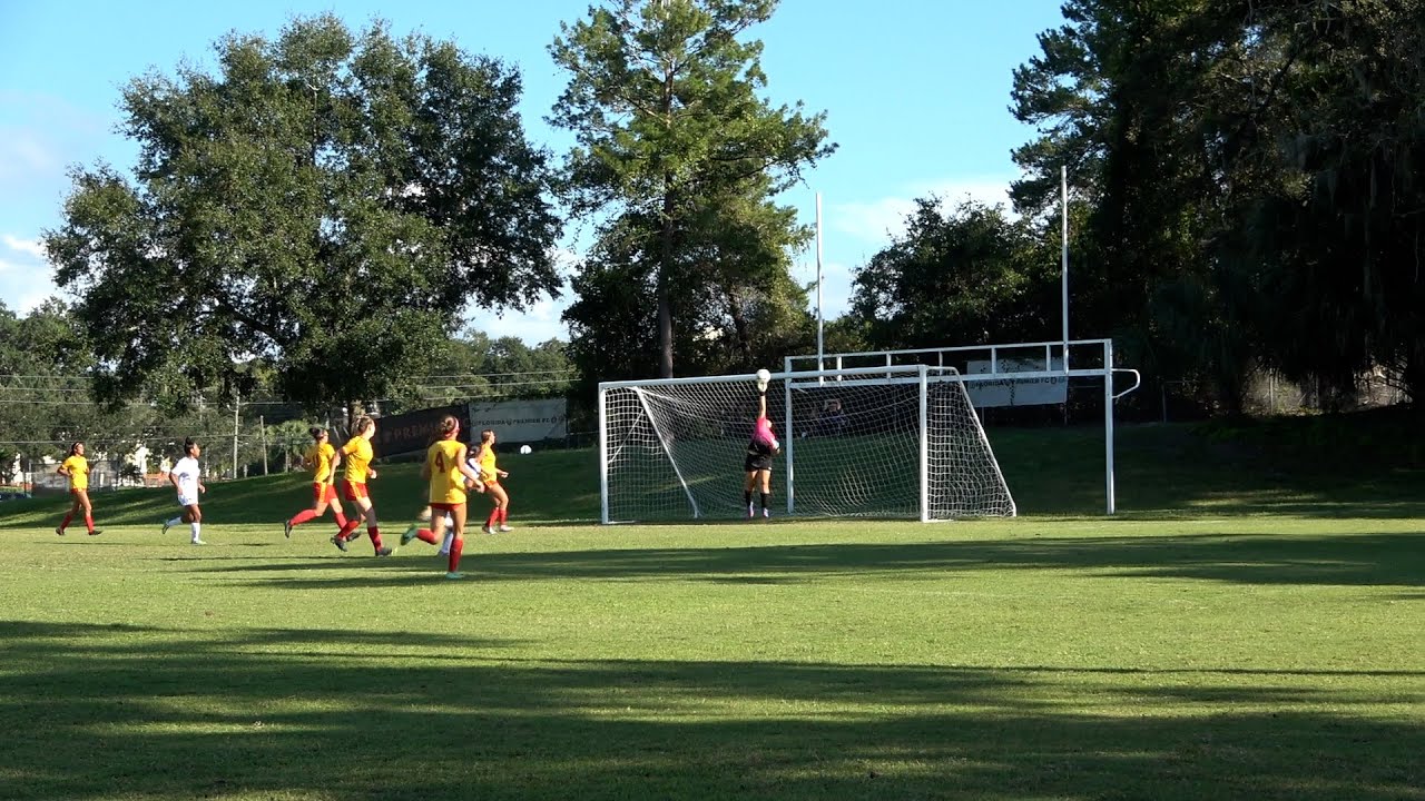 Aspen Dunn Goalkeeper Game Highlight ECNLR Chargers Girls vs Premier