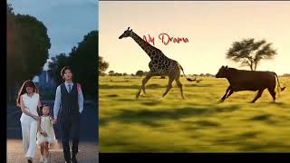 Luka Tujuh Tahun  Drama China Part 10 dramabox