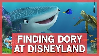 Finding Dory Characters at Turtle Talk with Crush - DCA