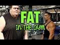 Obese Training In A Commercial Gym