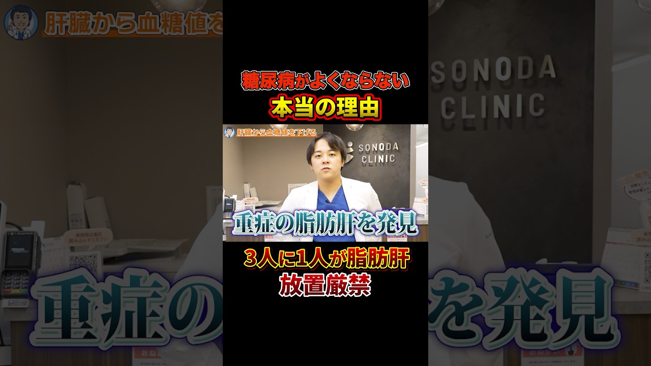 【新常識】あなたの高血糖・高HbA1cは脂肪肝のせいかもしれません【現役糖尿病内科医】