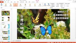 TQC PowerPoint 2016 210 臺灣蝴蝶 (有聲錄製)