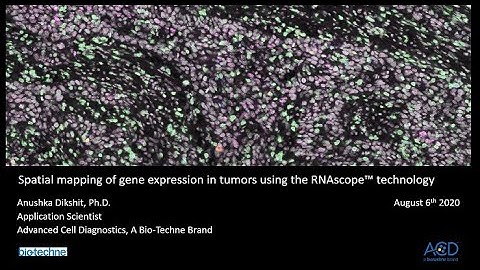 2020 Aug 6 - Spatial Mapping of Gene Expression in Tumors Using RNAscope Technology