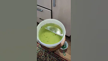 Перекись против водорослей - эффект в ведре