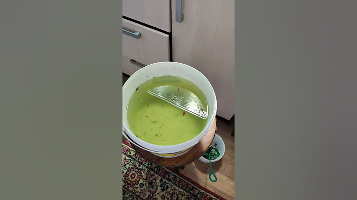 Перекись против водорослей - эффект в ведре